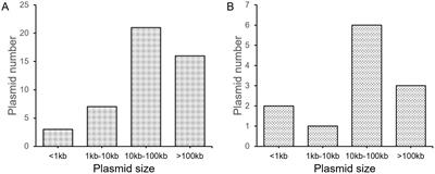 Diverse new plasmid structures and antimicrobial resistance in strains isolated from perianal abscess patients